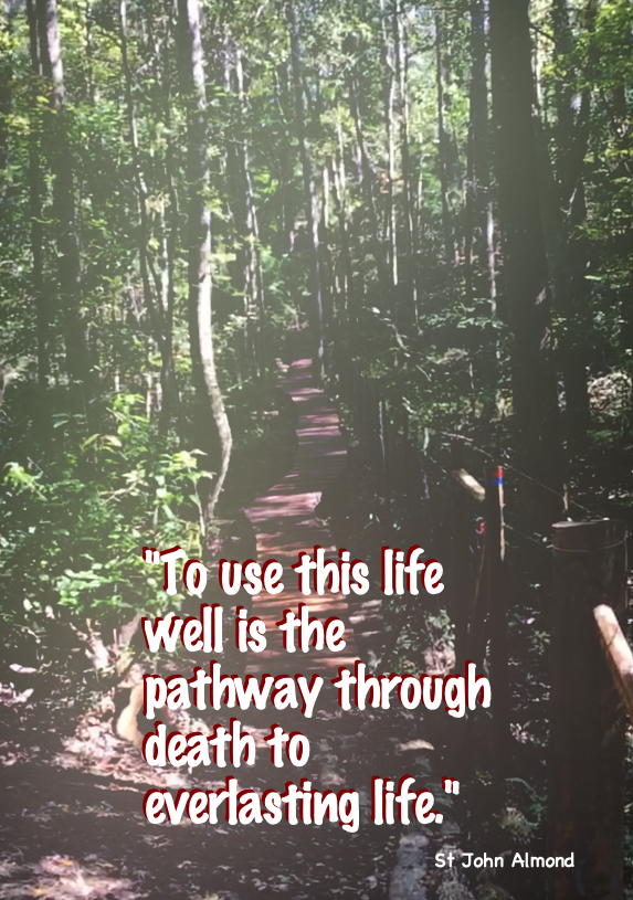 Pathway